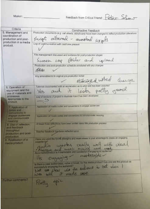  Critical Friend feedback form 